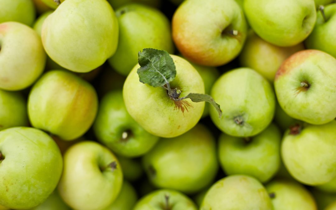 Apple Grunt – An Amish Delight