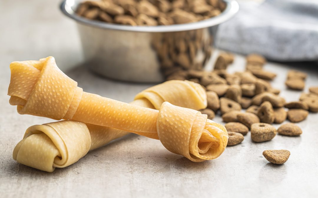 Unleash Your Inner Chef: Crafting Homemade Dog Treats