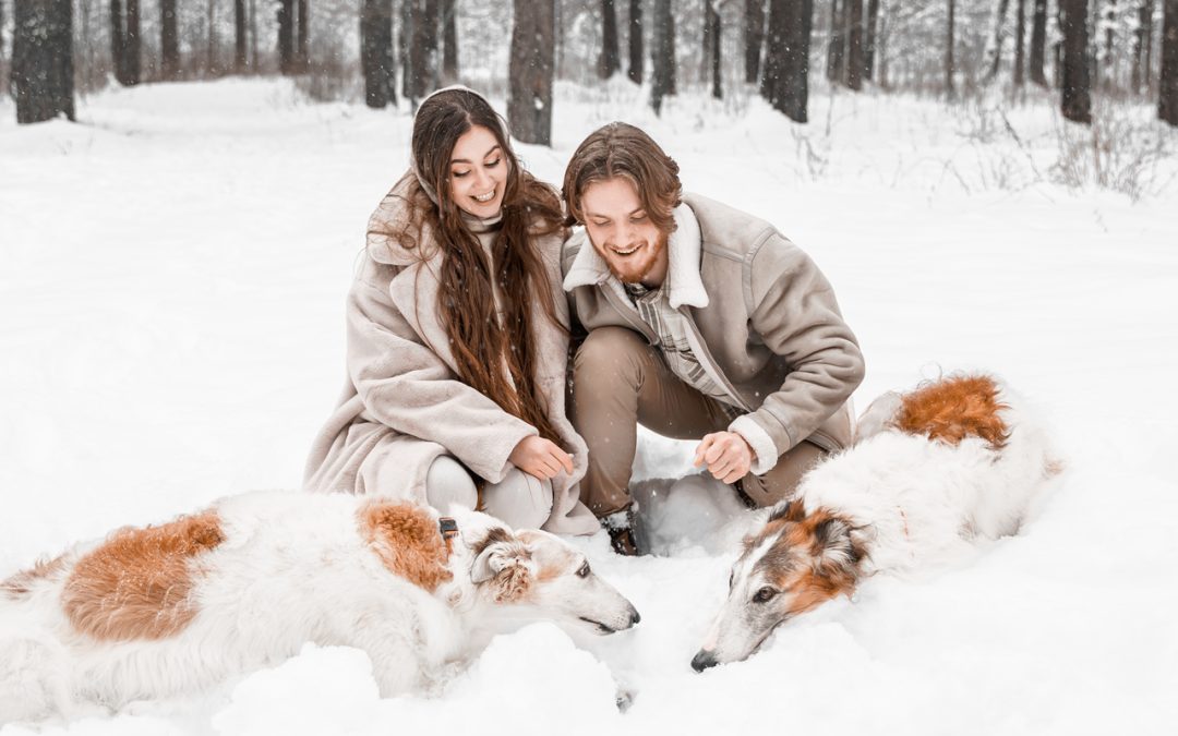 Winter Pet Care Guide: Keeping Your Furry Friends Safe and Warm